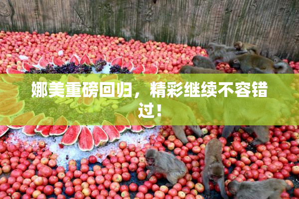 娜美重磅回归，精彩继续不容错过！
