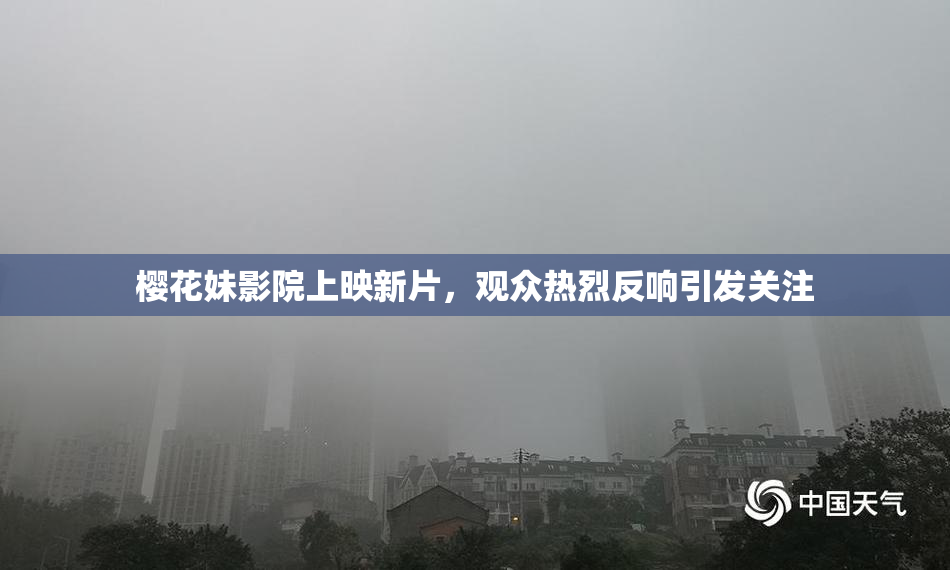 樱花妹影院上映新片，观众热烈反响引发关注