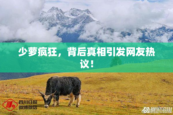 少萝疯狂，背后真相引发网友热议！