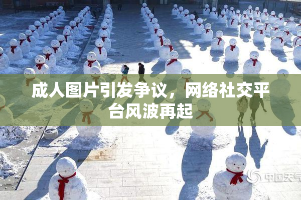 成人图片引发争议，网络社交平台风波再起