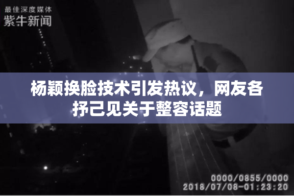 杨颖换脸技术引发热议，网友各抒己见关于整容话题