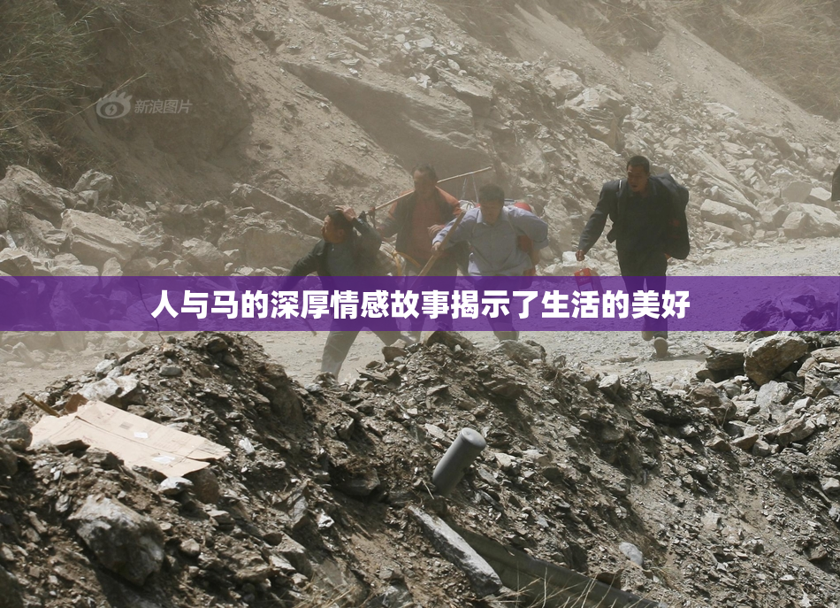 人与马的深厚情感故事揭示了生活的美好