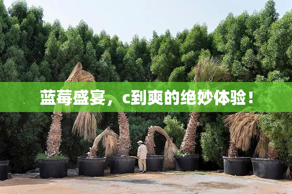 蓝莓盛宴，c到爽的绝妙体验！