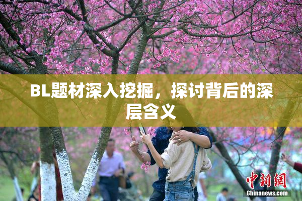 BL题材深入挖掘，探讨背后的深层含义