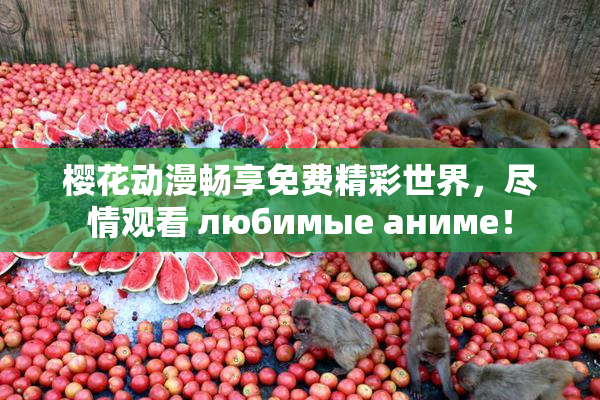 樱花动漫畅享免费精彩世界，尽情观看 любимые аниме！