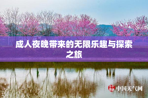 成人夜晚带来的无限乐趣与探索之旅
