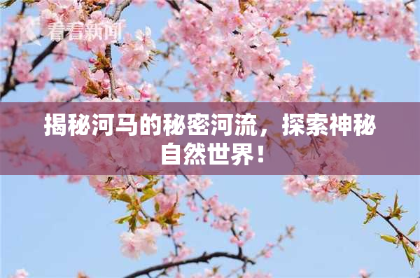 揭秘河马的秘密河流，探索神秘自然世界！