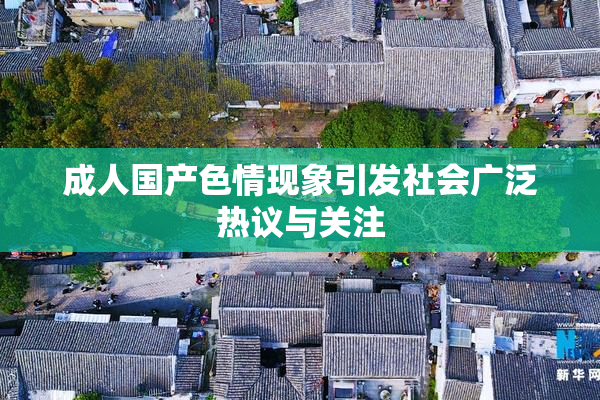 成人国产色情现象引发社会广泛热议与关注