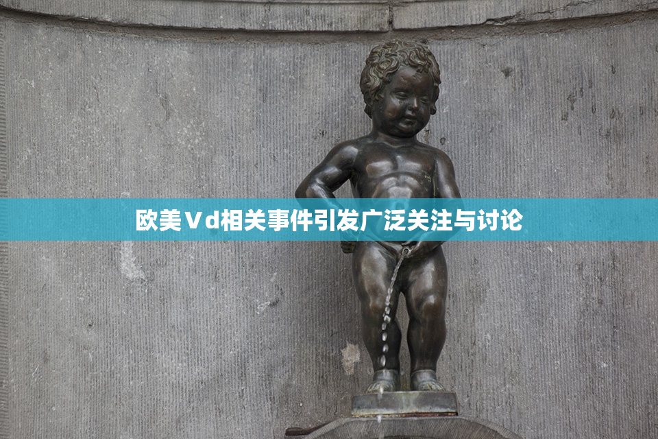 欧美Ⅴd相关事件引发广泛关注与讨论