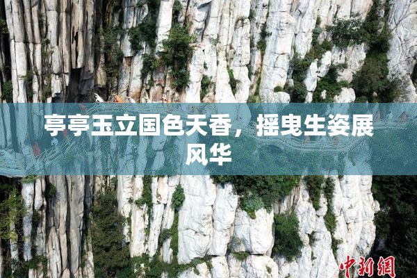 亭亭玉立国色天香，摇曳生姿展风华