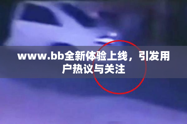 www.bb全新体验上线，引发用户热议与关注