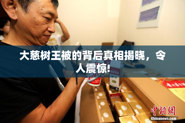 大慈树王被的背后真相揭晓，令人震惊!