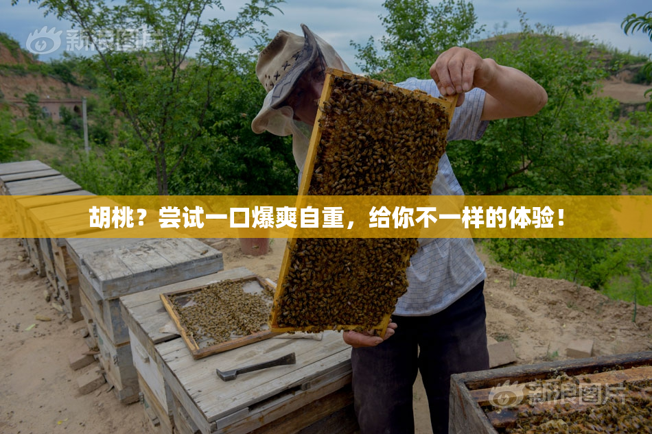 胡桃？尝试一口爆爽自重，给你不一样的体验！