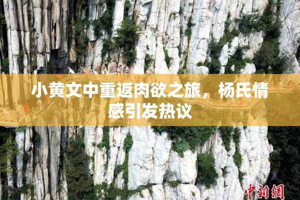 小黄文中重返肉欲之旅，杨氏情感引发热议