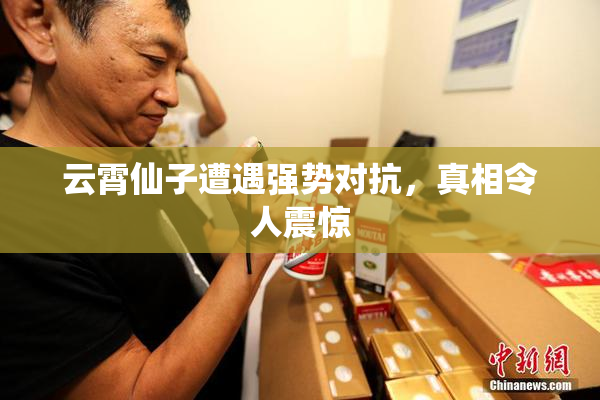 云霄仙子遭遇强势对抗，真相令人震惊