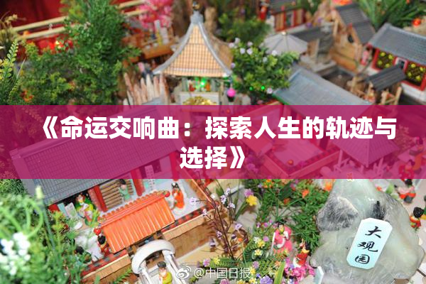 《命运交响曲：探索人生的轨迹与选择》