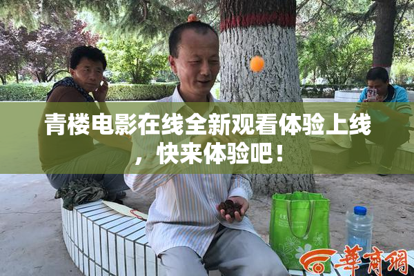 青楼电影在线全新观看体验上线，快来体验吧！