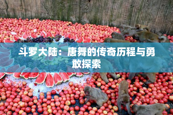 斗罗大陆：唐舞的传奇历程与勇敢探索