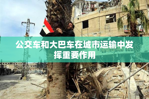 公交车和大巴车在城市运输中发挥重要作用