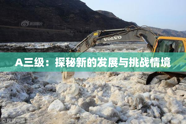A三级：探秘新的发展与挑战情境