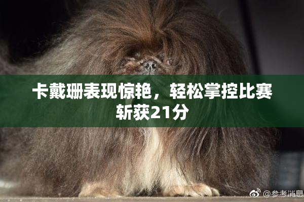 卡戴珊表现惊艳，轻松掌控比赛斩获21分