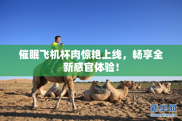催眠飞机杯肉惊艳上线，畅享全新感官体验！