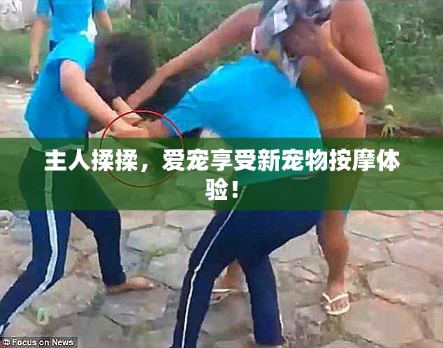主人揉揉，爱宠享受新宠物按摩体验！