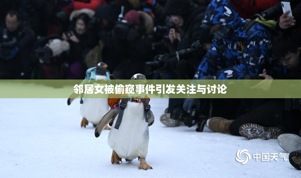邻居女被偷窥事件引发关注与讨论