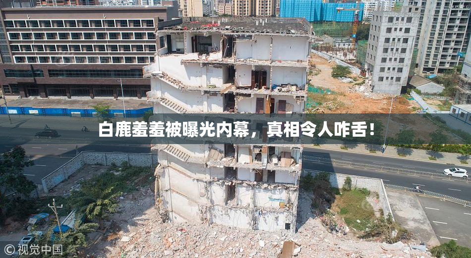 白鹿羞羞被曝光内幕，真相令人咋舌！