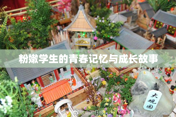 粉嫩学生的青春记忆与成长故事