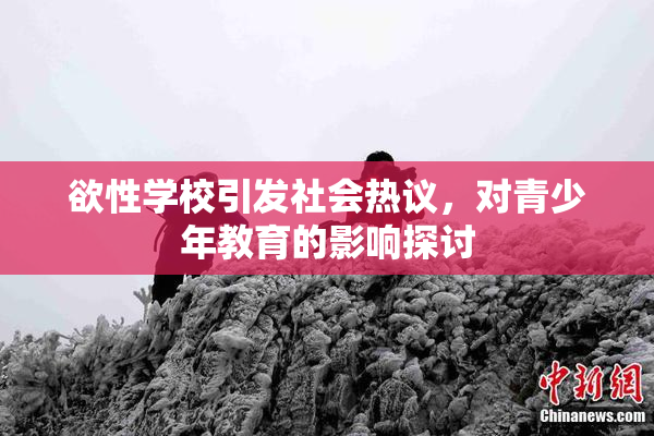 欲性学校引发社会热议，对青少年教育的影响探讨