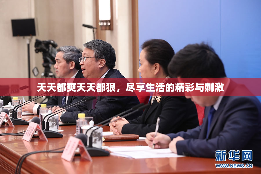 天天都爽天天都狠，尽享生活的精彩与刺激