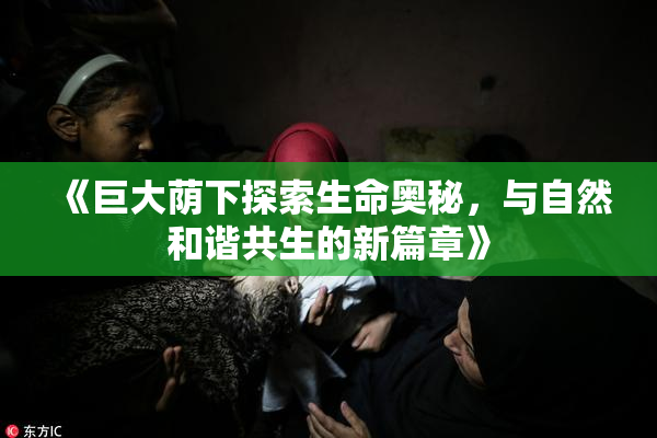 《巨大荫下探索生命奥秘，与自然和谐共生的新篇章》