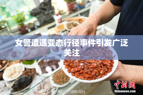 女警遭遇变态行径事件引发广泛关注
