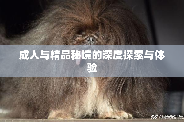 成人与精品秘境的深度探索与体验