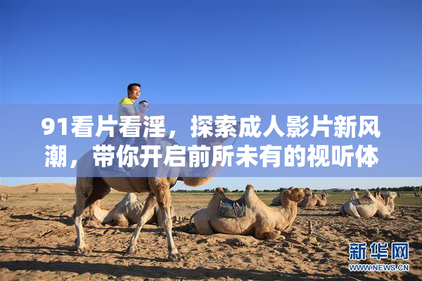 91看片看淫，探索成人影片新风潮，带你开启前所未有的视听体验！