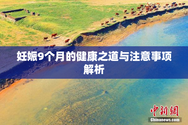 妊娠9个月的健康之道与注意事项解析
