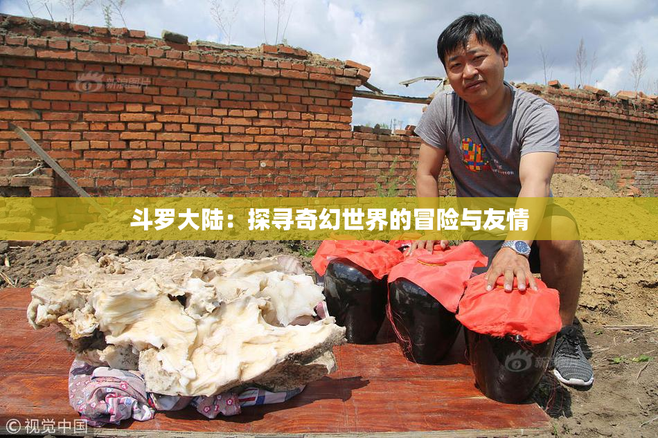 斗罗大陆：探寻奇幻世界的冒险与友情