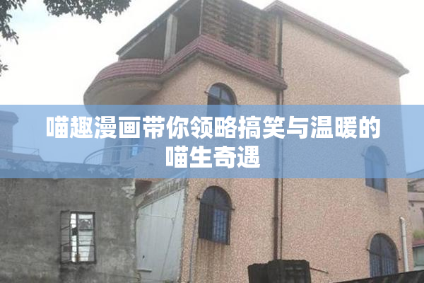 喵趣漫画带你领略搞笑与温暖的喵生奇遇