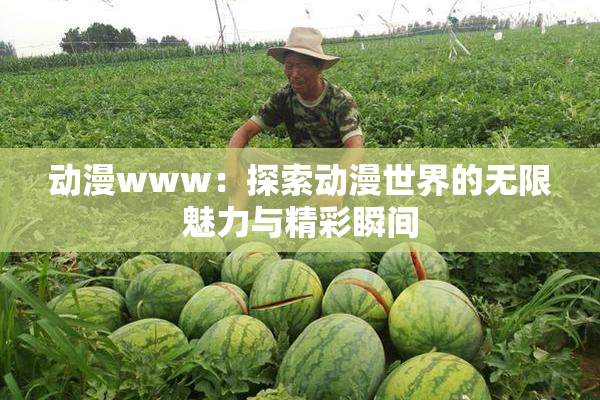 动漫www：探索动漫世界的无限魅力与精彩瞬间
