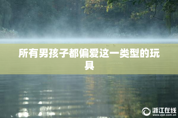 所有男孩子都偏爱这一类型的玩具