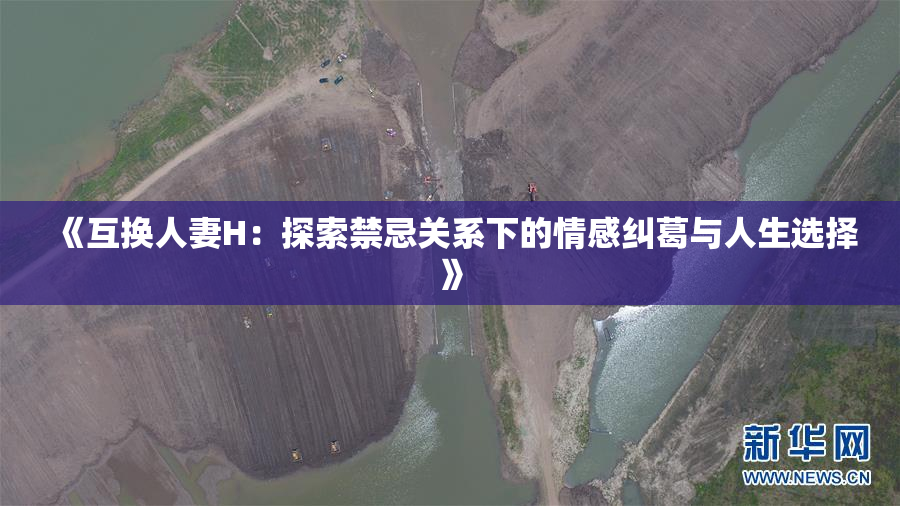 《互换人妻H：探索禁忌关系下的情感纠葛与人生选择》