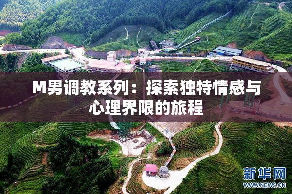 M男调教系列：探索独特情感与心理界限的旅程