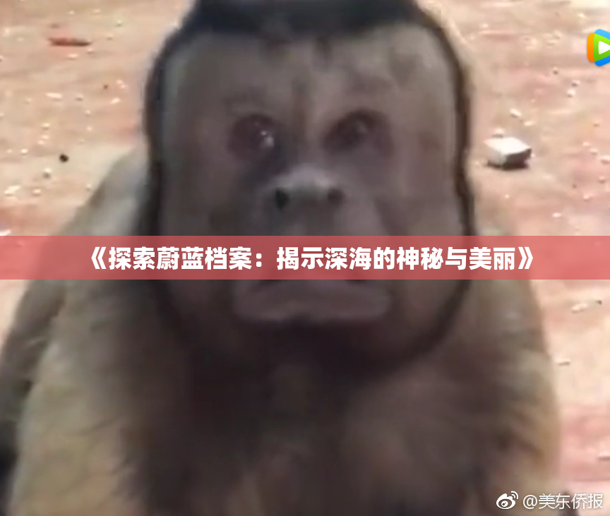 《探索蔚蓝档案：揭示深海的神秘与美丽》