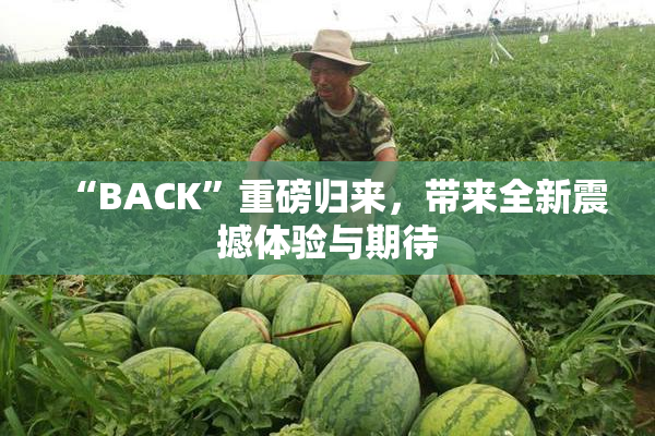 “BACK”重磅归来，带来全新震撼体验与期待