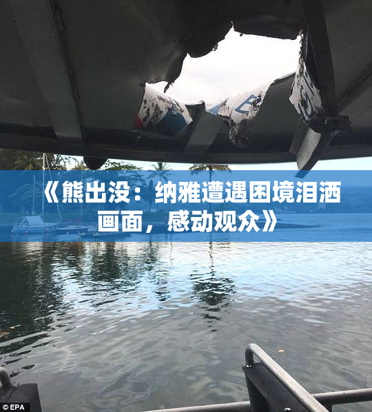 《熊出没：纳雅遭遇困境泪洒画面，感动观众》
