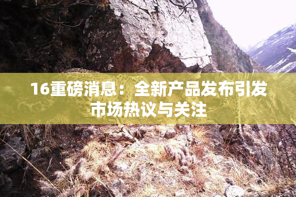 16重磅消息：全新产品发布引发市场热议与关注