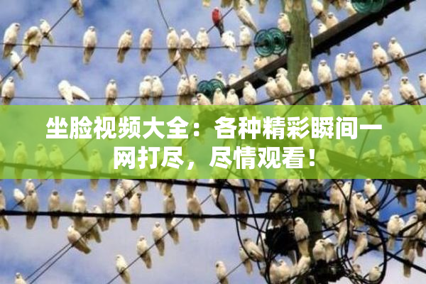 坐脸视频大全：各种精彩瞬间一网打尽，尽情观看！