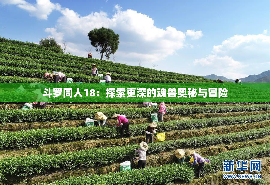 斗罗同人18：探索更深的魂兽奥秘与冒险