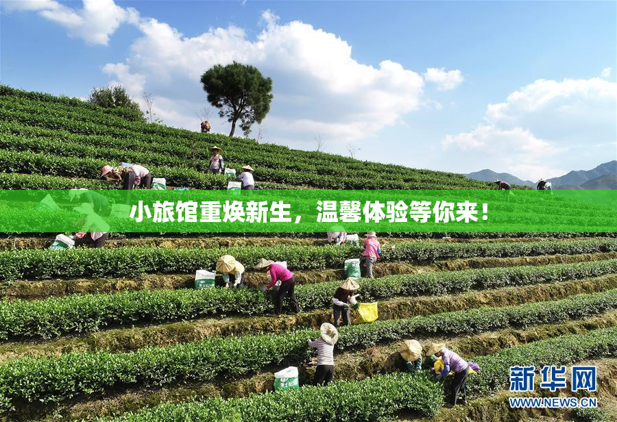 小旅馆重焕新生，温馨体验等你来！